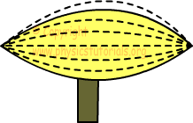 electroscope special cases